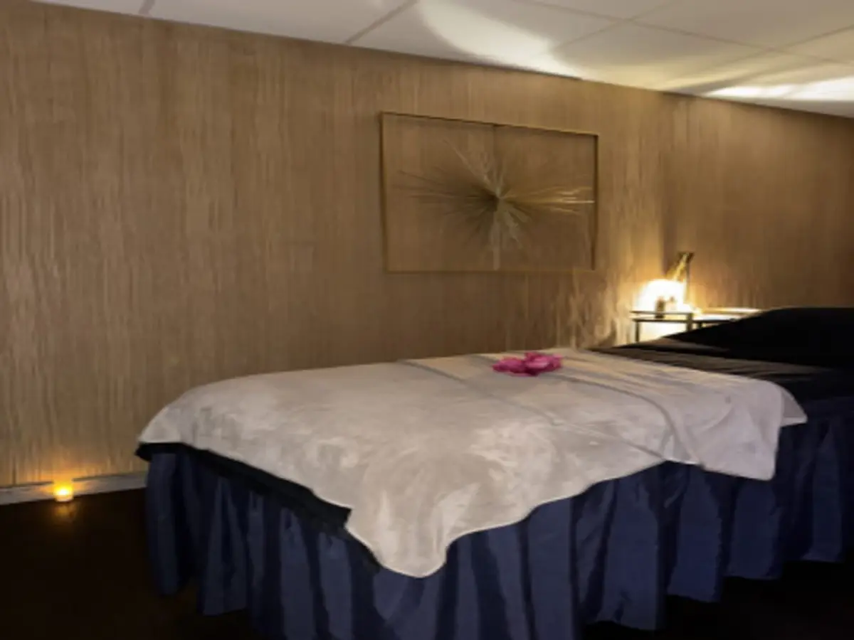 Massage à Plaisir (78)