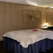 Massage à Plaisir (78)