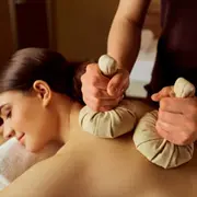 Massage aux Pochons à Verrières-le-Buisson (91)***