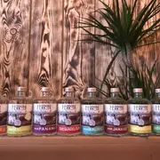 Masterclass et dégustation de spiritueux à Marseille 7ème