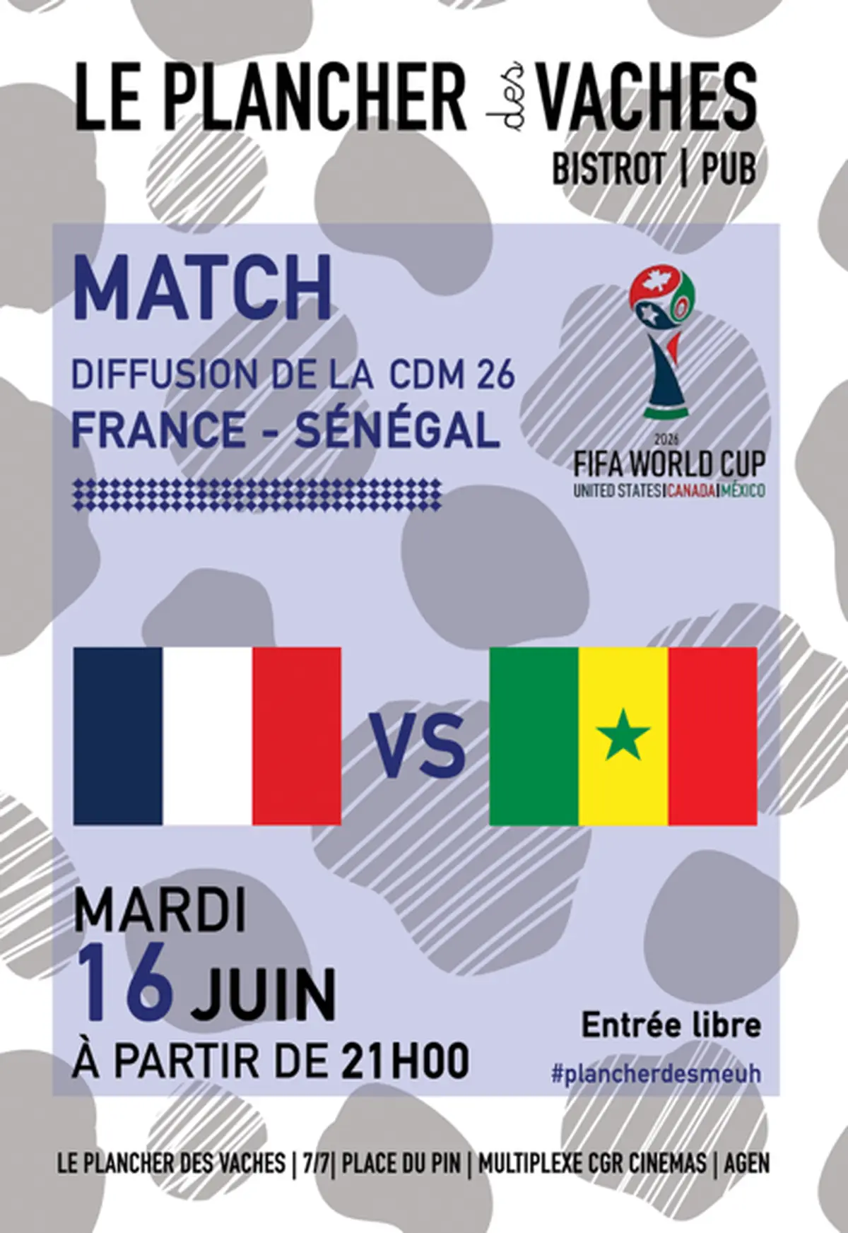 Match de la coupe du monde FRANCE SENEGAL