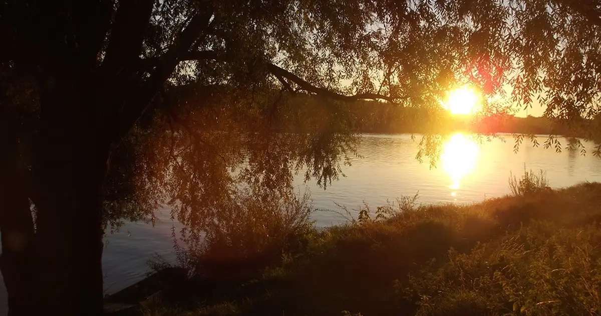 Matin d'été en bords de Loire