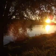 Matin d'été en bords de Loire