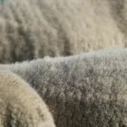 Matinée à la ferme Les P'tites Mains pour Demain