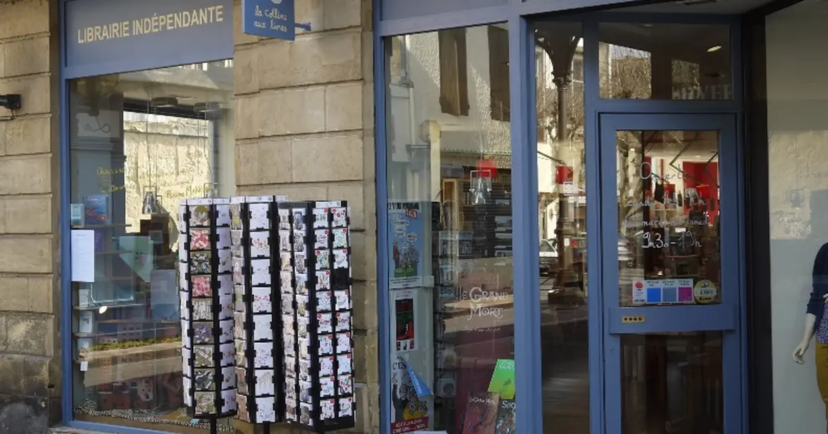 Matinée activité manuelle Pandacraft | La Colline au Livre