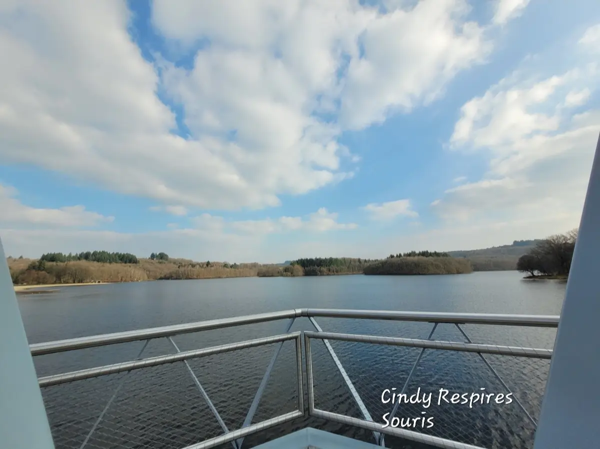 Matinée bien-être entre lumière et vibration en juillet