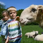 Matinée de fermier à la ferme de Gally de Saint-Cyr-l'Ecole
