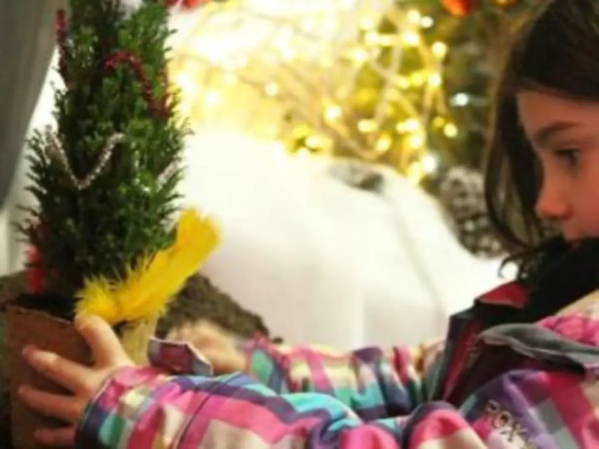Matinée de  Noël à la Ferme de Gally de Sartrouville (78)