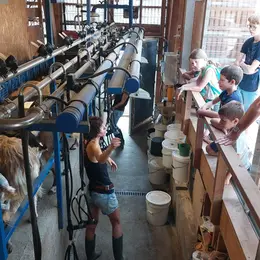 Matinée famille à la ferme Bibane