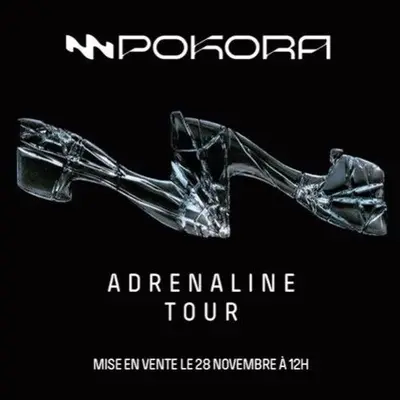 M Pokora (Matt Pokora)