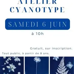 Médiathéque : Atelier cyanotype