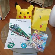 Médiathèques Aqua libris - Imagine ton Pokémon®