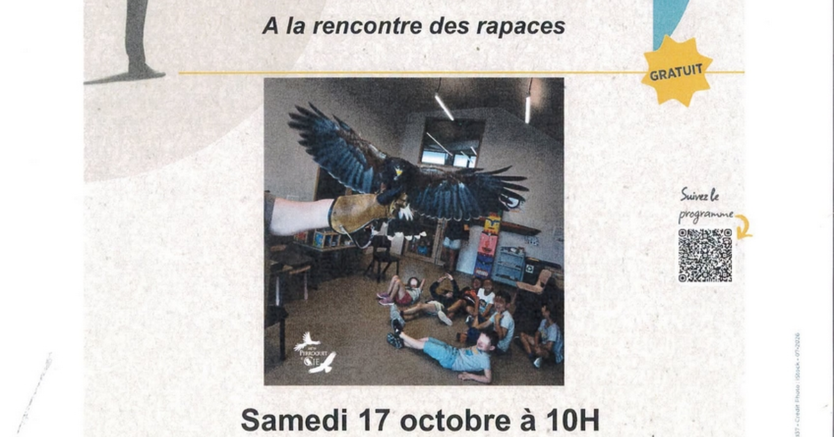 Médiation animale : A la rencontre des rapaces