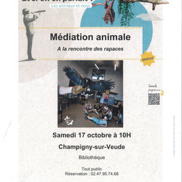 Médiation animale : A la rencontre des rapaces
