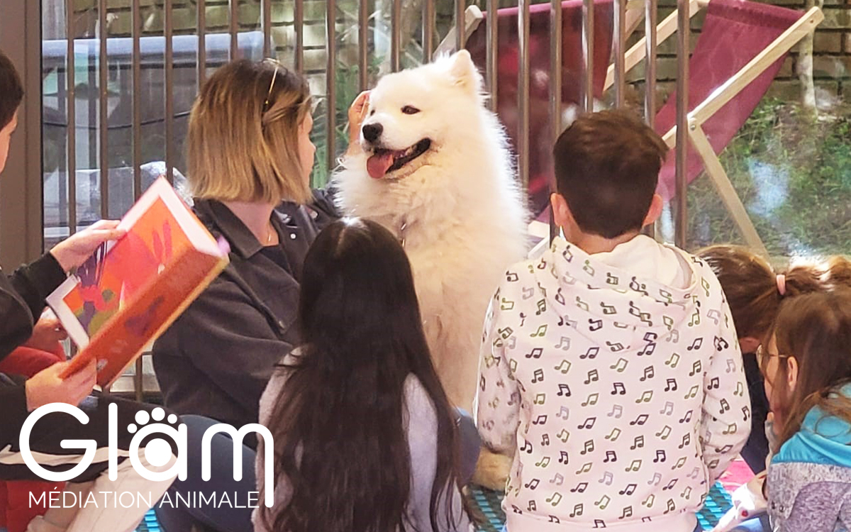 Médiation animale : lire avec un chien