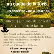 Médiation au cœur de la foret