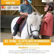 Meeting Equi-Handi  - Ateliers pour tous