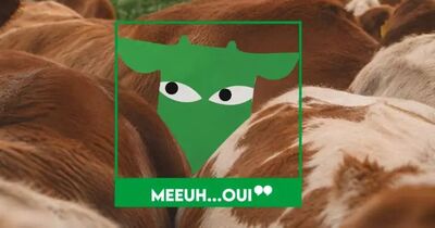 Meeuh&hellip; Oui ! : une animation ferme et nature pour les familles au Centre Commercial Val d'Europe