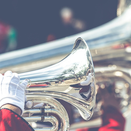Mélomanes en culotte courte - Fanfare royale
