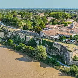 Mémoire de pierre - Découverte de la Géologie et de la Paléontologie du Blayais