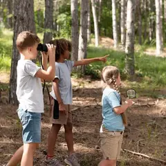 Mémoires de la forêt, la chasse aux souvenirs