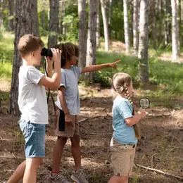Mémoires de la forêt, la chasse aux souvenirs