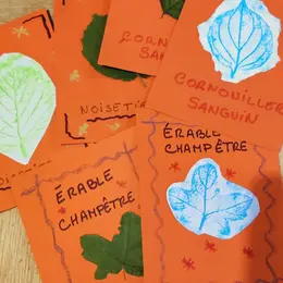 Memory d'arbre