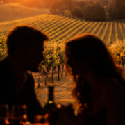 Menu Saint-Valentin | Vignoble des Verdots