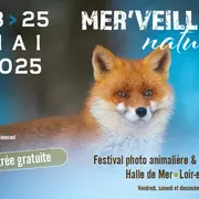 Mer'Veilles nature - Festival photo à Mer