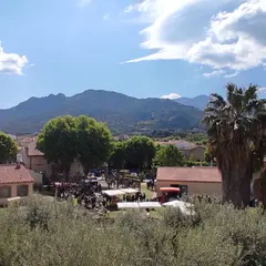 Mercat Del Sol