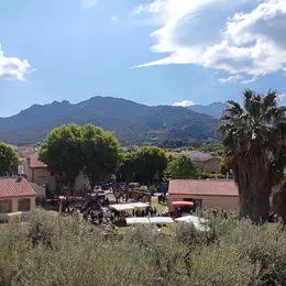 Mercat Del Sol