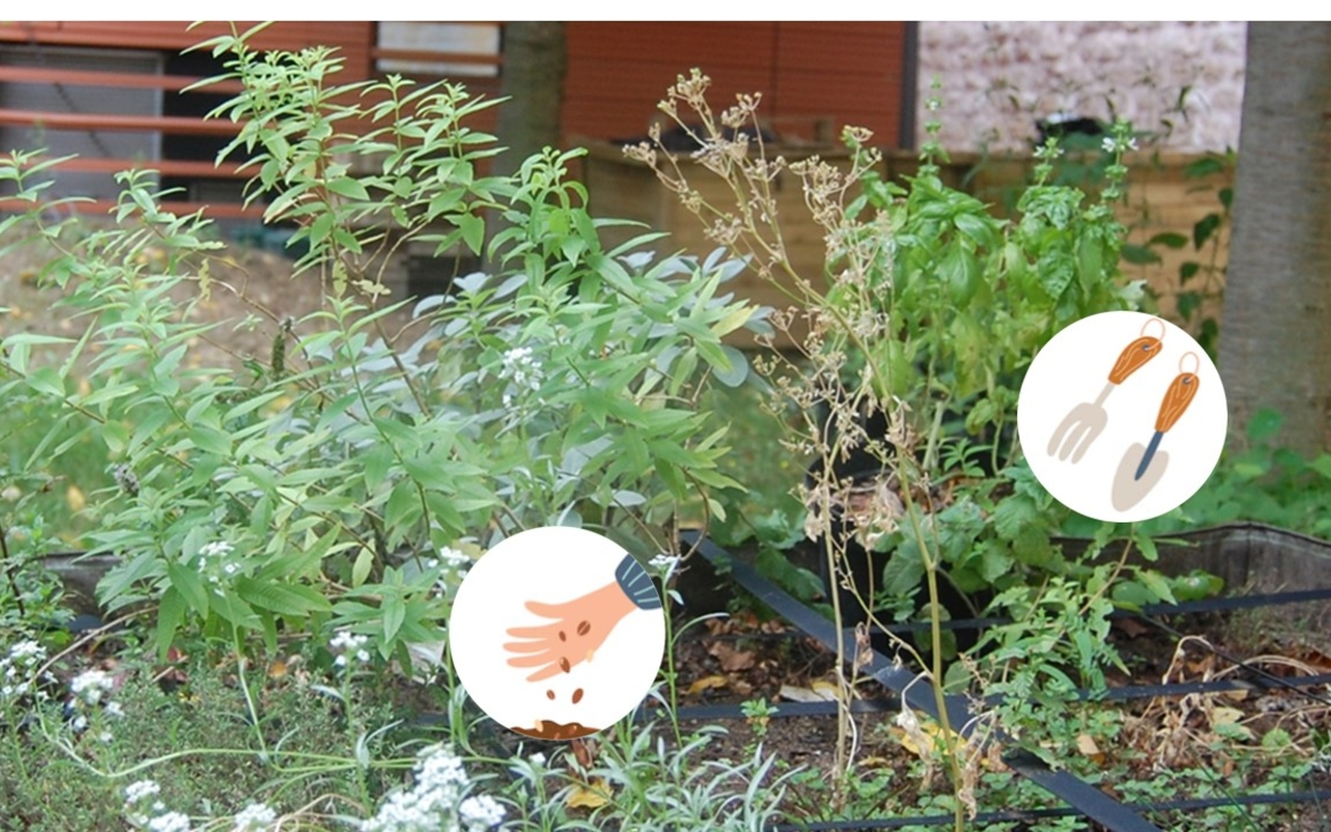 Mercredi créatif : les mains dans la terre