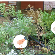 Mercredi créatif : les mains dans la terre