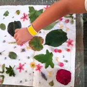 Mercredi Créatif Tataki zomé