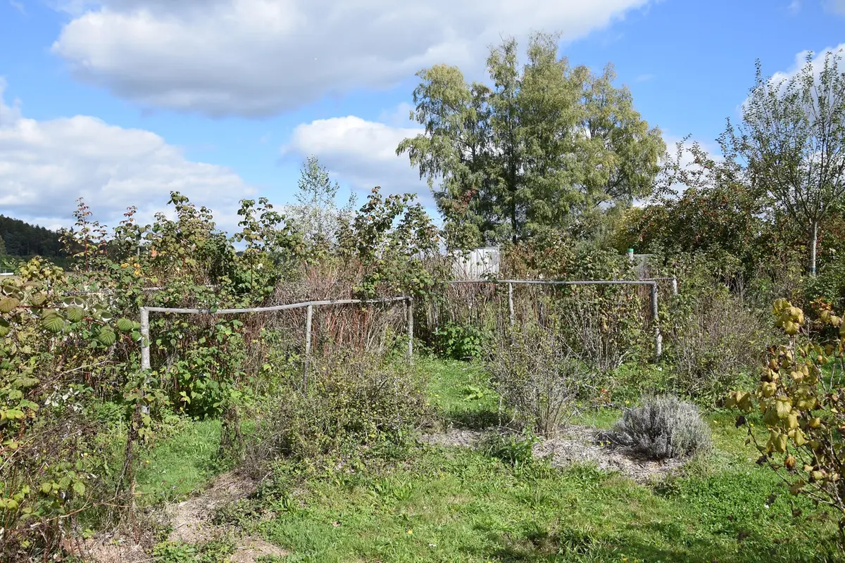 Mercredi en famille : jardinage, poissons d'avril ou club CPN