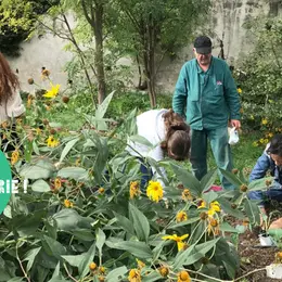 Mercredi j’ai Verrerie !