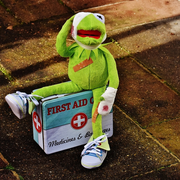 Mercredis nature : SOS animal sauvage en Détresse !