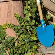 Mercredis Ressources