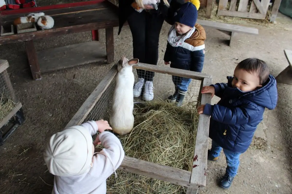 Mes 1ères bottes - Nourrissage des animaux de la ferme