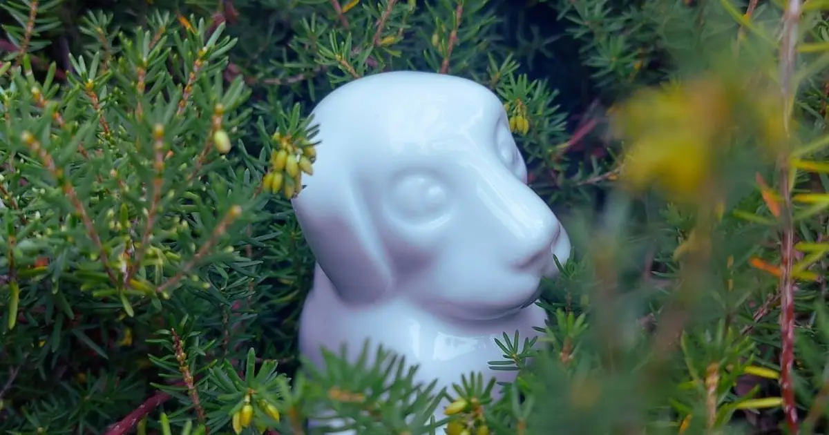 Mes premiers pas au musée - Mon merveilleux jardin de porcelaine