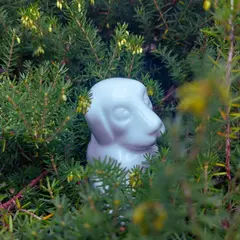 Mes premiers pas au musée - Mon merveilleux jardin de porcelaine