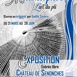 Métamorphose, l'art du pli