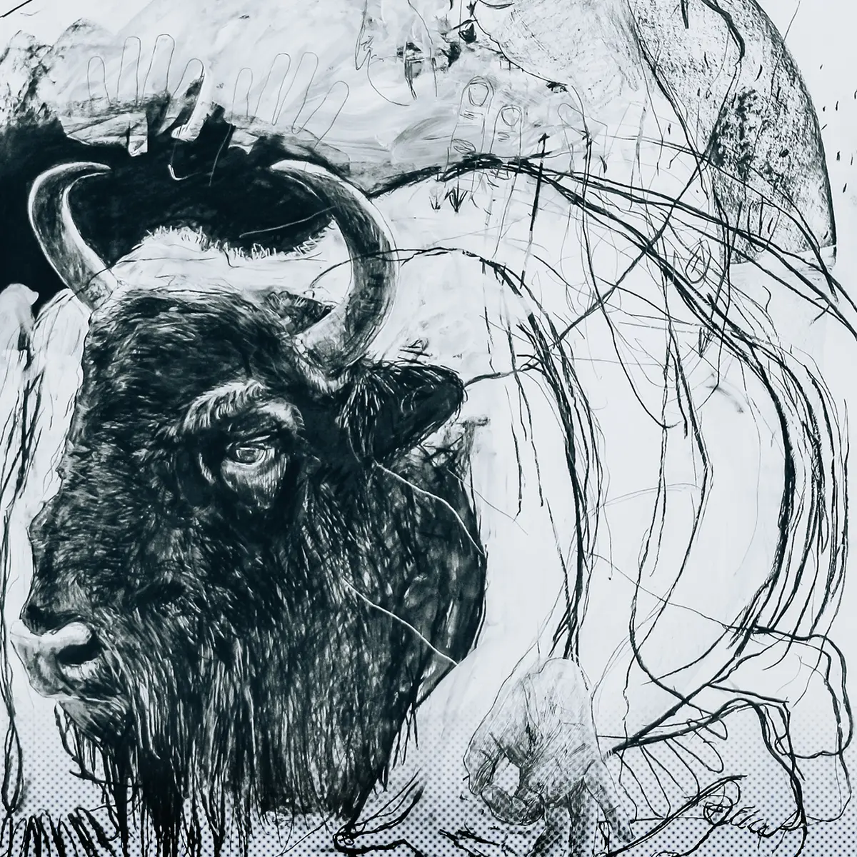 Métamorphose(s) : Exposition par Benjamin Bondonneau