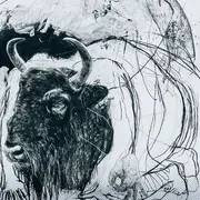 Métamorphose(s) : Exposition par Benjamin Bondonneau