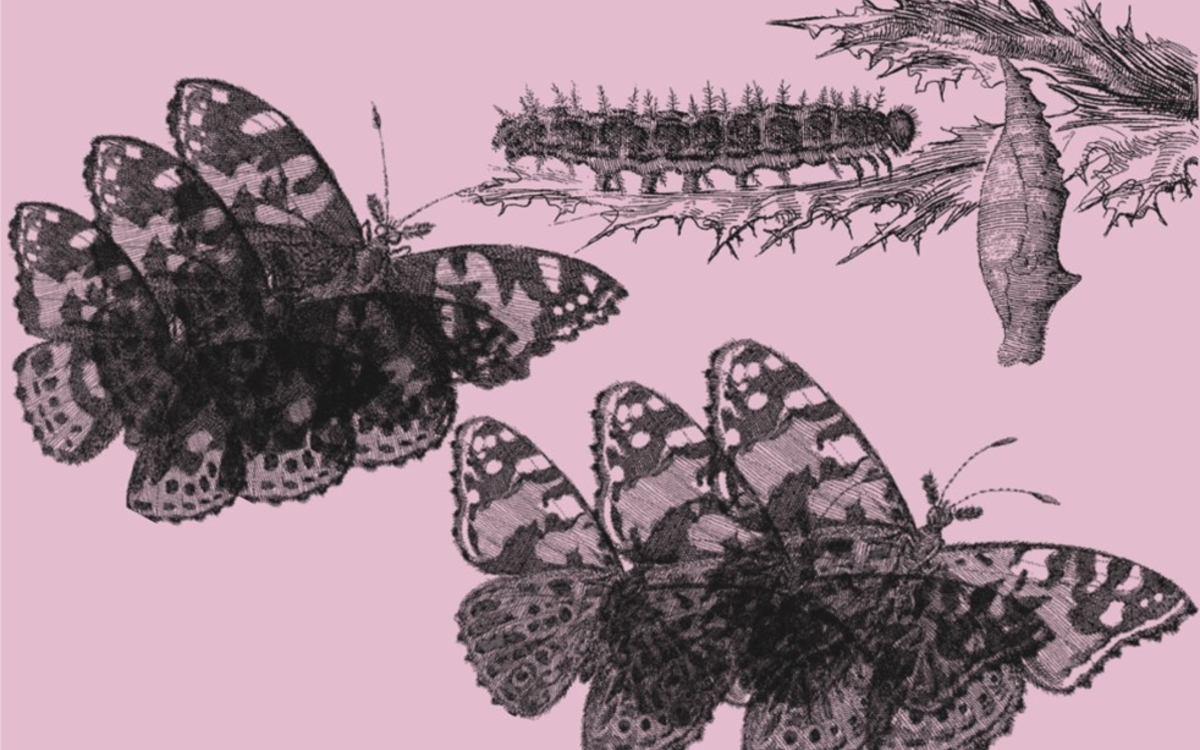 concert métamorphoses