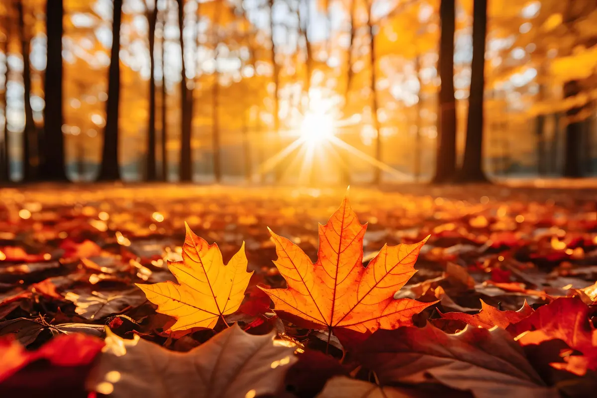 Météo à Tours et en Indre-et-Loire : du soleil et jusqu'à 20 °C attendus cette semaine