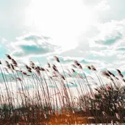 Météo du week-end du 1er mai : coup de vent et rafales attendus sur la France