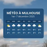 Météo Mulhouse du 1 au 7 décembre 2025 ! 🌨️