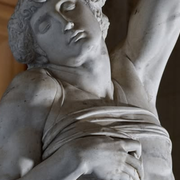 Michel-Ange Rodin. Corps vivants