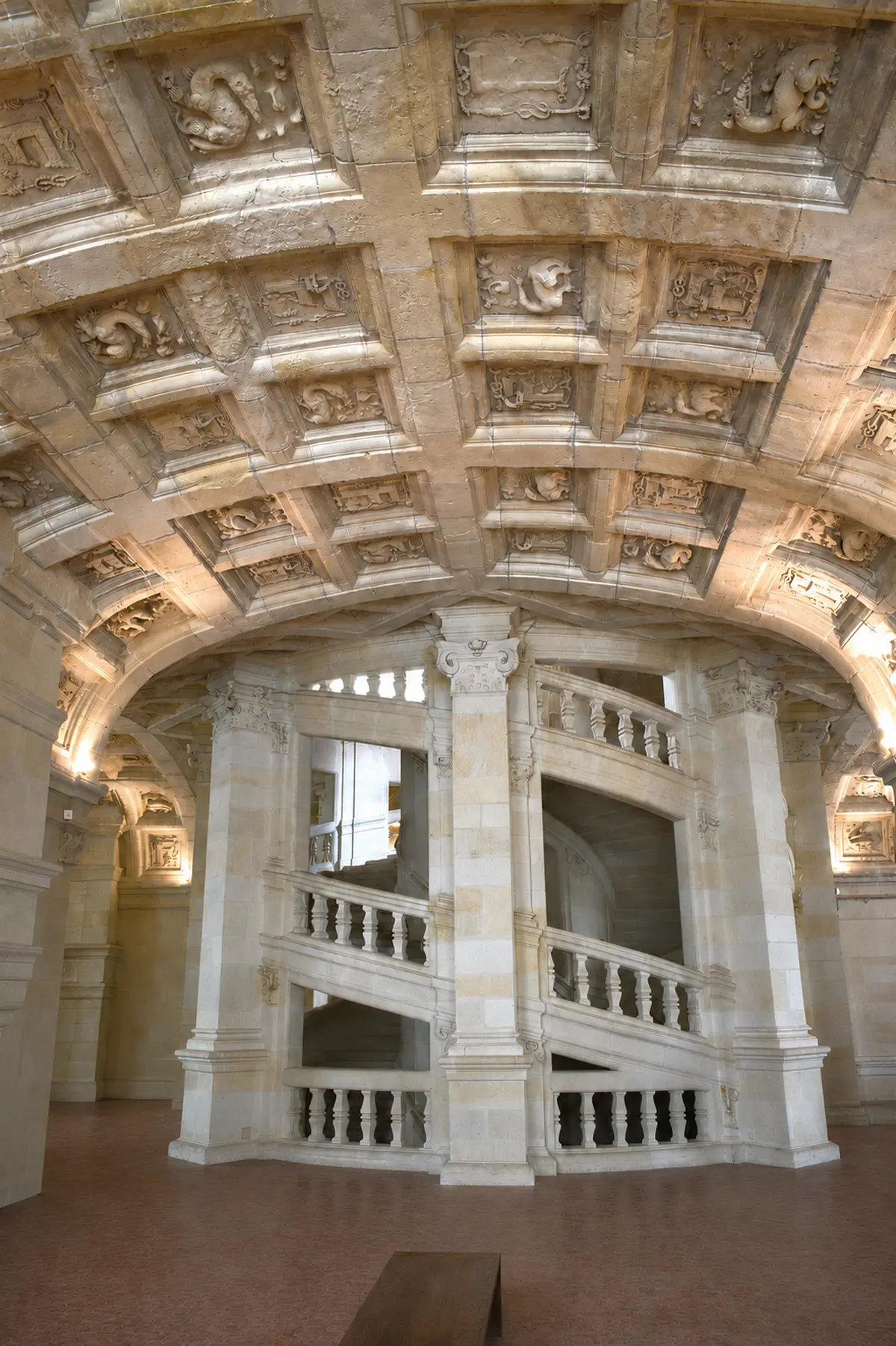 Micro-découvertes : Bêtes de château ; bêtes de musées